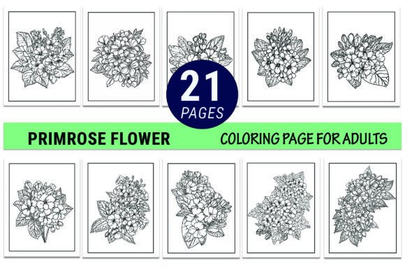 A Fresh Primrose Design Asset for Editorial Graphics and Coloring Pages