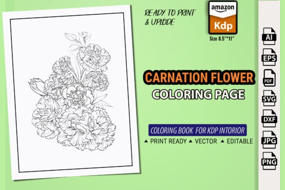 Carnations Flower Graphics: A Designer’s Review for Client Projects