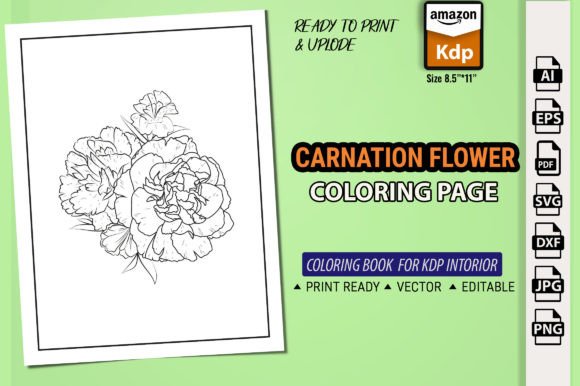 Evaluating Carnation Flower Graphics for Client Design Projects