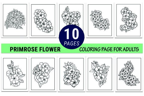 Primrose Flower Coloring Pages: A Graphic Asset for Editorial Creativity
